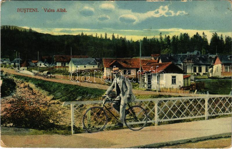 1917 Busteni, Valea Alba / valley, bridge, man with bicycle, villa + 'K.k. Landsturm-Etappen-Bataillon Nr. 489.' (EK)