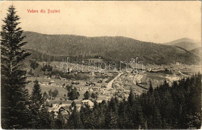 Busteni, Vedere / general view