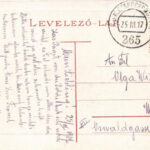 1917 Marosvásárhely, Targu Mures; Széchenyi tér, piac, üzletek. W.L. Bp. 6414. / square, market, shops (EK) - Image 2