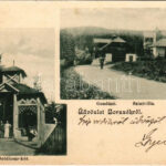 Borszék, Borsec; Boldizsár kút, Gondűző villa, Szini villa, Oláh villa. Soós Károly kiadása / spa, spring source, villas (EK)