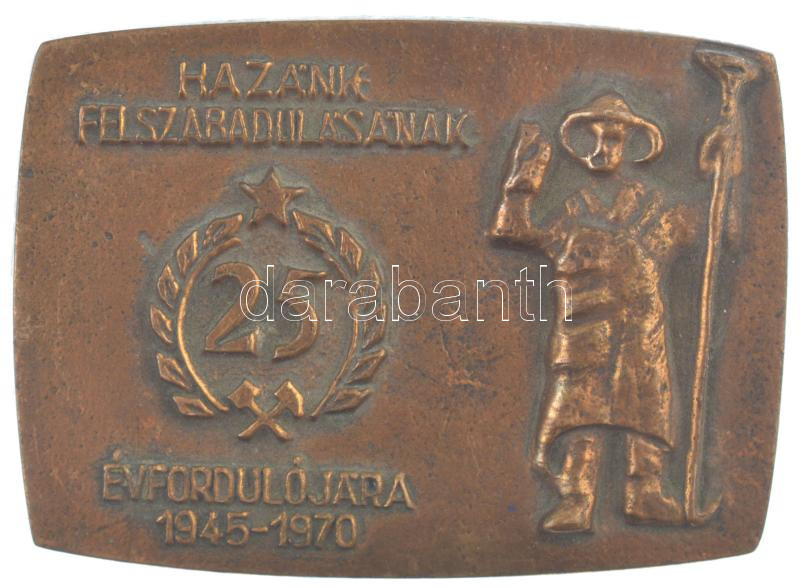 1970. 'Hazánk felszabadulásának 25. évfordulójára 1945-1970' egyoldalas bronz emlékplakett (45x66mm) T:1-
