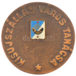 ~1970-1980. 'Kisújszállás város tanácsa' kétoldalas részben műgyantás bronz emlékérem dobozában (75mm) T:1-,2