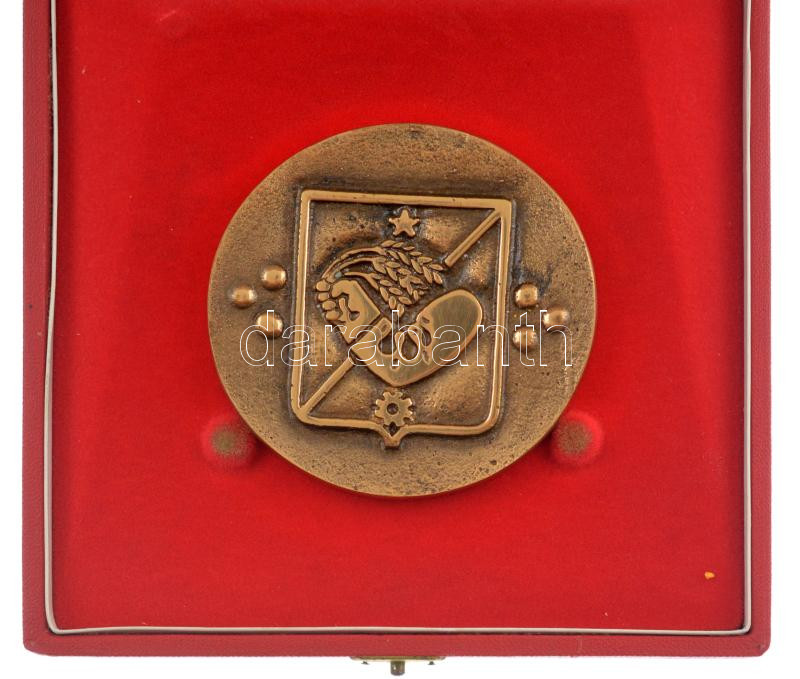 ~1970-1980. 'Kisújszállás város tanácsa' kétoldalas részben műgyantás bronz emlékérem dobozában (75mm) T:1-,2 - Image 2