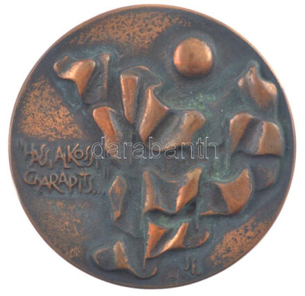 DN 'Szolnok megyéért / 'Hass, alkoss, gyarapíts' kétoldalas bronz emlékérem díszdobozban (90mm) T:1- patina