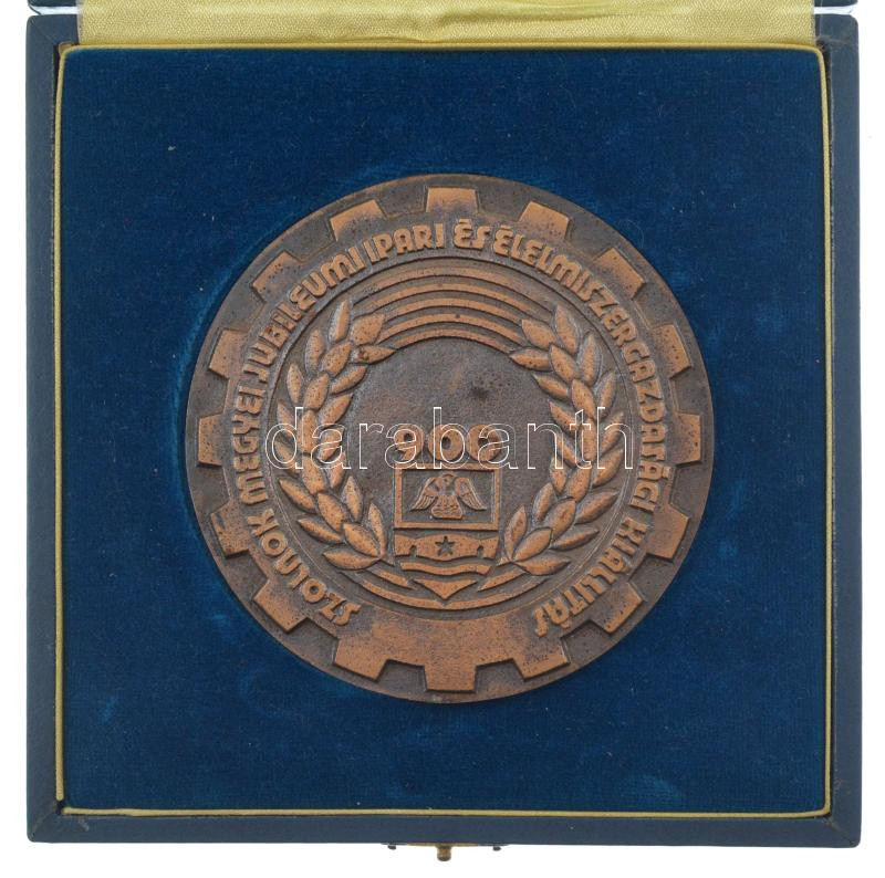 1975. 'Szolnok Megyei Jubileumi Ipari és Élelmiszergazdasági Kiállítás' egyoldalas bronz emlékérem díszdobozban (102mm) T:1-
