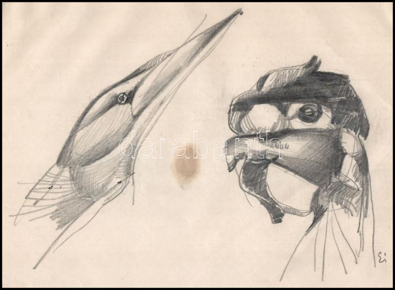 Eigel István (1922-2000): Madártanulmányok. Ceruza, papír, kissé foltos, kartonra kasírozva, 21×30 cm - Image 2