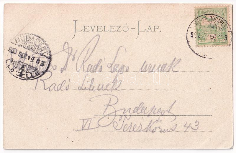 1902 Lugos, Lugoj; Pályaudvar, vasútállomás, vonat, gőzmozdony. Auspitz Adolf kiadása / Bahnhof / railway station, train, locomotive (EK) - Image 2