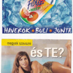 2002-es magyarországi országgyűlési választás - 9 db modern reklám képeslap - Image 2