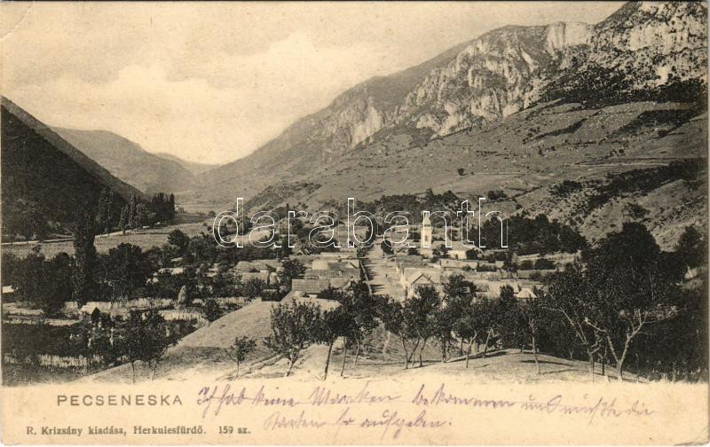 1917 Pecsenyecska, Pecseneska, Csernabesenyő, Pecinisca (Herkulesfürdő, Baile Herculane); látkép. R. Krizsány kiadása / general view (EK)