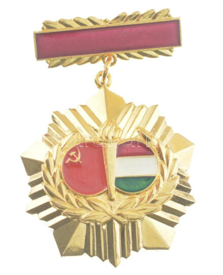 ~1970. 'Magyar-Szovjet Baráti Társaság' műgyantás aranyozott jelvény (40mm) T:1-
