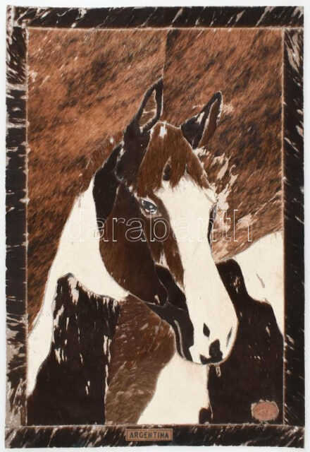 Lóportré. Szőr, kollázs, karton, Baridom (?) és Argentina jelzéssel, XX. sz. vége/XX. sz. eleje, 55x39 cm