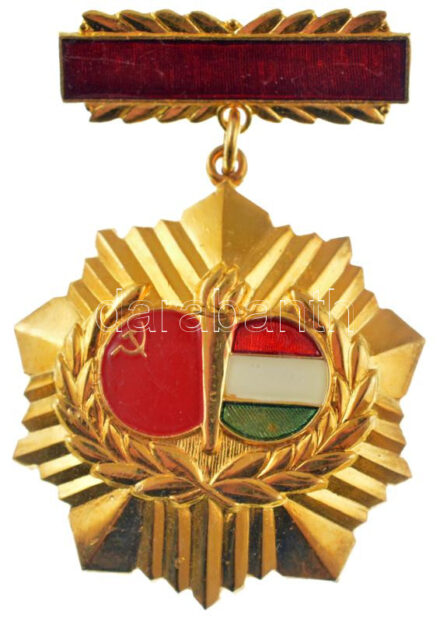 ~1970. 'Magyar-Szovjet Baráti Társaság' zománcozott, aranyozott jelvény T:1-