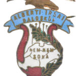 ~1920. 'Alberti Irsai Daloskör Nem nem soha 1899' irredenta zománcos bronz kitűző (32x25mm) T:1-