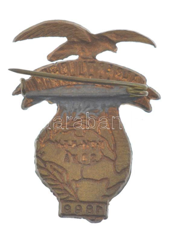 ~1920. 'Alberti Irsai Daloskör Nem nem soha 1899' irredenta zománcos bronz kitűző (32x25mm) T:1- - Image 2