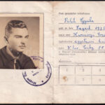 1945 Magyar Demokratikus Ifj. Szövetség ideiglenes tagsági igazolvány kijáró fényképpel