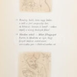 Omár Chájjám: Rubáíját. Bp., 1965, Magyar Helikon. Szász Endre 102 rézkarcával. Hozzá való könyvjelzővel. Kiadói kartonált papírkötés. - Image 2
