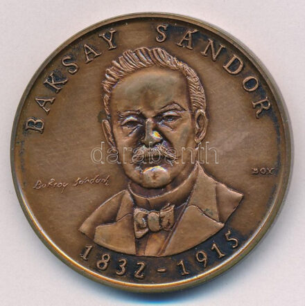Bognár György (1944-) 1989. 'Baksay Sándor 1832-1915 / Kunszentmiklósi Baksay Sándor Gimnázium' kétoldalas bronz emlékérem (42,5mm) T:1,1- kis patina