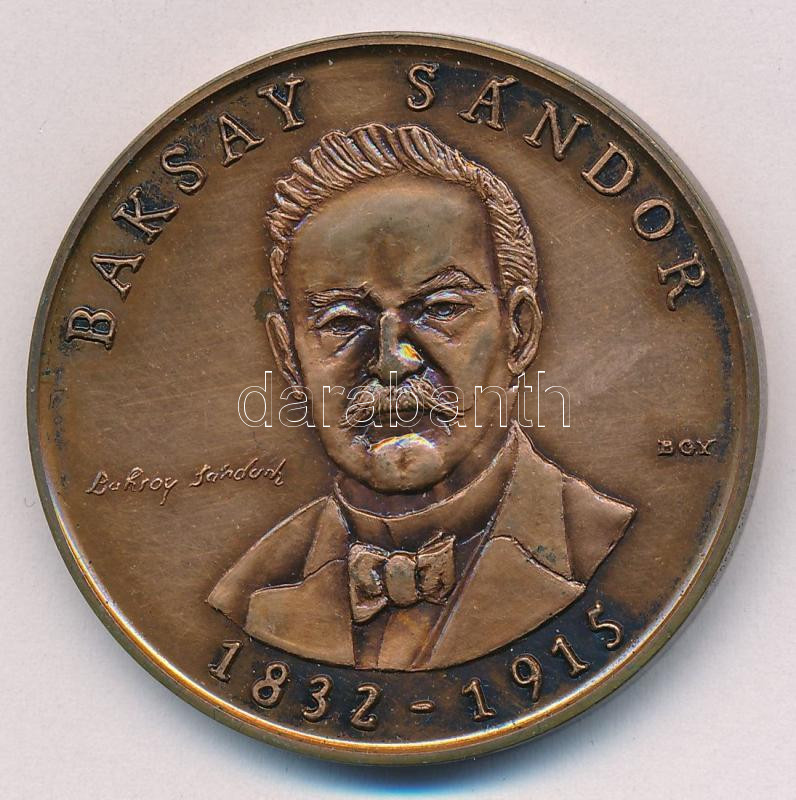 Bognár György (1944-) 1989. 'Baksay Sándor 1832-1915 / Kunszentmiklósi Baksay Sándor Gimnázium' kétoldalas bronz emlékérem (42,5mm) T:1,1- kis patina