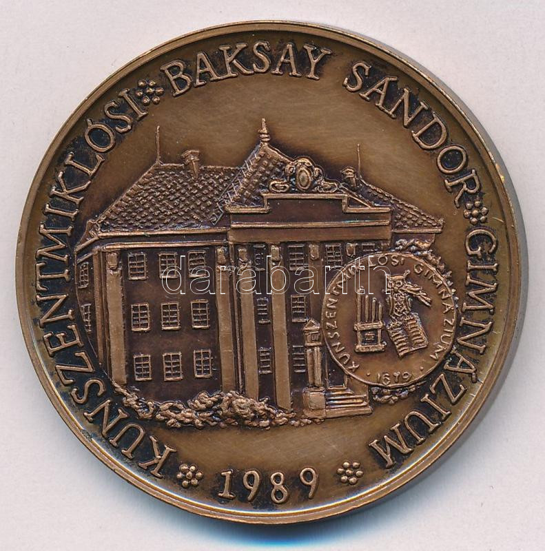 Bognár György (1944-) 1989. 'Baksay Sándor 1832-1915 / Kunszentmiklósi Baksay Sándor Gimnázium' kétoldalas bronz emlékérem (42,5mm) T:1,1- kis patina - Image 2