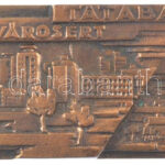 ~1970. 'Tatabánya városért' egyoldalas bronz plakett dísztokban (146x64mm) T:2