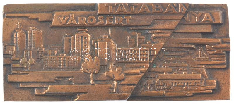 ~1970. 'Tatabánya városért' egyoldalas bronz plakett dísztokban (146x64mm) T:2