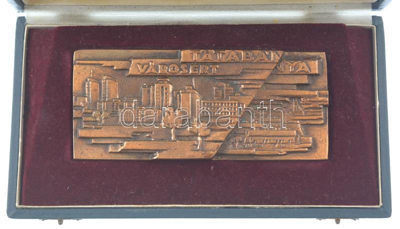 ~1970. 'Tatabánya városért' egyoldalas bronz plakett dísztokban (146x64mm) T:2 - Image 2