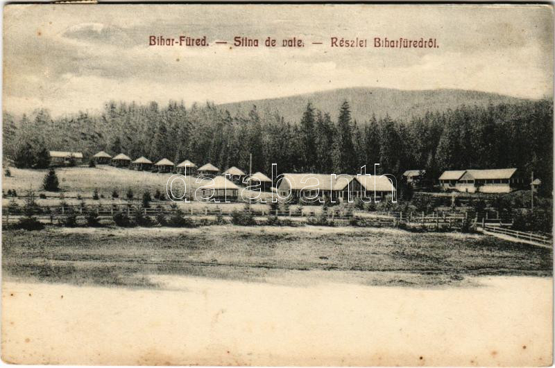 Biharfüred, Stana de Vale, Stina de Vale; részlet / general view (fl)