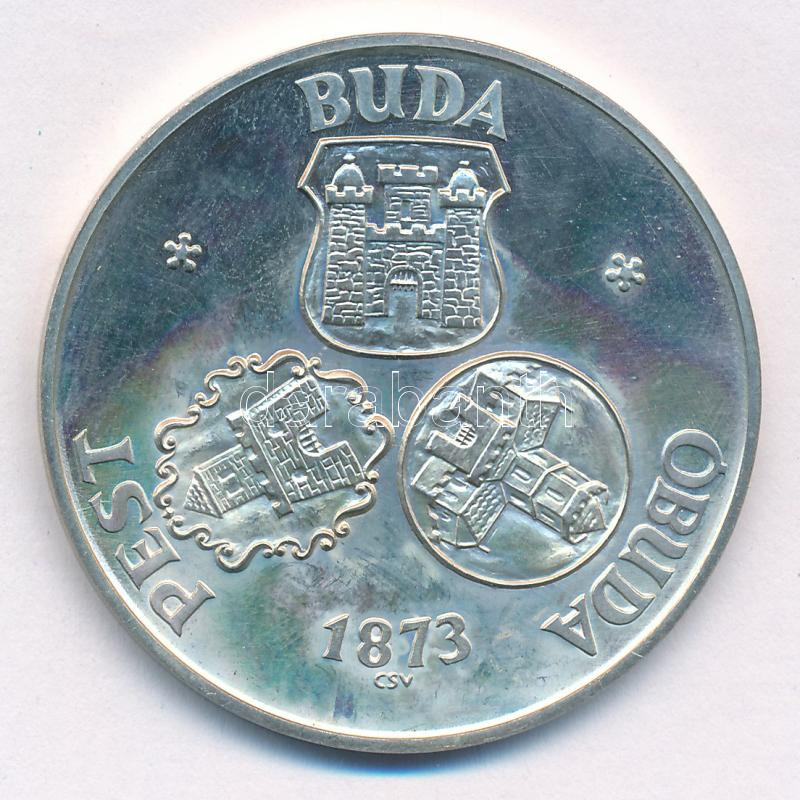 Csucs Viktória (1934-1993) 1973. 'Pest - Buda - Óbuda - 1873 / Budapest 1973 - Pro memor urbe centen' ezüstözött bronz emlékérem (42,5mm) T:1-,2 kis patina