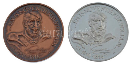 Sebestyén Sándor (1949-) 1989. 'MÉE - 200 éves a sátoraljaújhelyi Kossuth Lajos Gimnázium' bronz emlékérem (42,5mm) + jelzett Ag emlékérem (35,38g/0.835/42,5mm) T:1,1- (PP) ujjlenyomat Adamo SU2