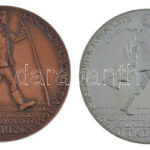 Lapis András (1942-) 1988. 'MÉE Kiskőrösi Csoportja / Petőfi útja sorozat III. - Útkeresés' bronz emlékérem (42,5mm) + Ag emlékérem (35,68g/835/42,5mm) T:1,1- (PP) ujjlenyomat