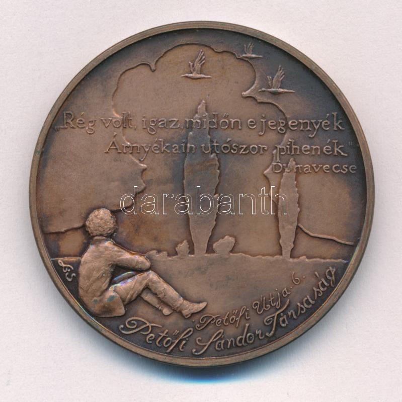 Lapis András (1942-) 1990. 'Petőfi útja sorozat VI. / Magyar Éremgyűjtők Egyesülete kiskőrösi csoportja' kétoldalas bronz emlékérem (42,5mm) T:1- patina Adamo KK8