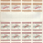 1991-1994. 5 darabos magyar részvény tétel: 'Veszprémtej', 'Ereco', 'Béfa', 'Sztáv RT', 'Danubius Hotels', közte vízjeles papír, szárazpecsét, 'MINTA' pecsét, szelvények T:I-,II - Image 4