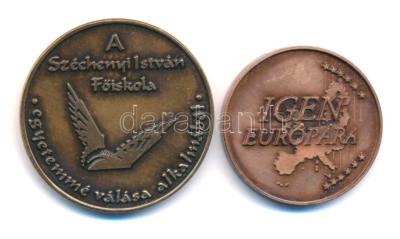 Lebó Ferenc (1960-) 'Széchenyi István Egyetem' kétoldalas bronz emlékérem (42,5mm) + 2003. 'Igen Európára' kétoldalas bronz emlékérem (35mm) T:1- - Image 2