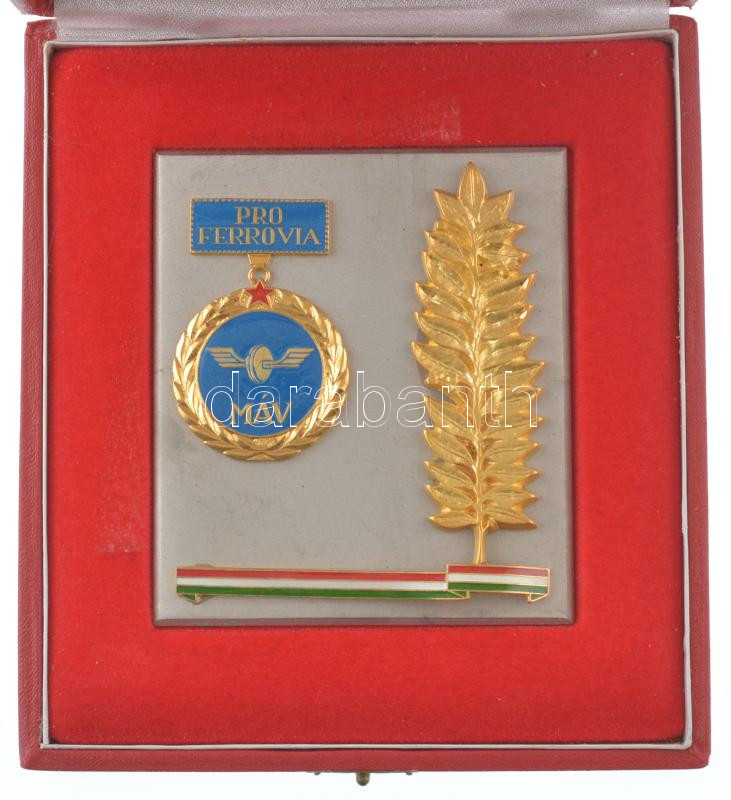 ~1970-1980. 'MÁV Pro Ferrovia' egyoldalas, részben műgyantás fém plakett tokban, eredeti tokban (104x91mm) T:1-,2