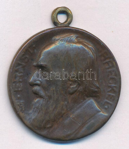 Németország 1914. 'Ernst Haeckel' 80. születésnapjára készült kétoldalas bronz emlékérem (29mm) T:1- Germany 1914. 'Ernst Haeckel' two sided bronze medallion for his 80th birthday (29mm) C:AU