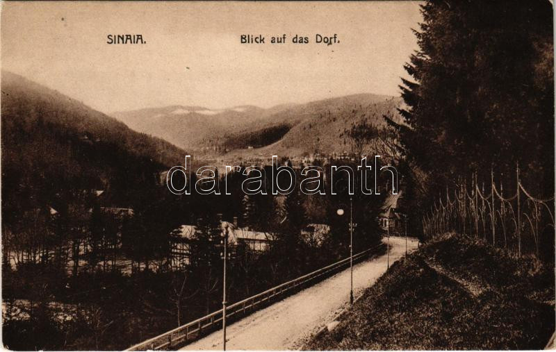 Sinaia, Blick auf das Dorf / general view
