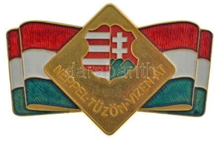 2009. 'Néppel Tűzön Vizen Át' festett jelvény, az 1956-os Nemzetőr jelvény jelzett, modern másolata (51x89mm) T:1