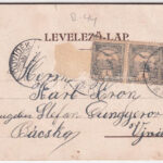 1901 Buziás, Nagy szálloda. Herrling Károly kiadása / Grand Hotel (Rb) - Image 2