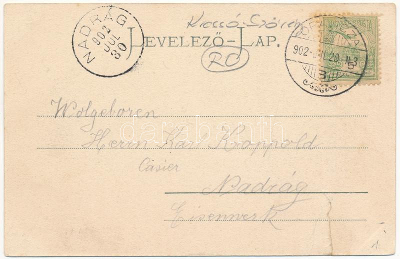1902 Oravica, Oravita; Fő utca. Feldmann Ignác kiadása / Hauptgasse / main street. Art Nouveau (r) - Image 2