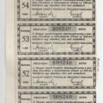 Budapest 1897. 'Magyar Vasuti Forgalmi Részvénytársaság' részvénye 200K-ról, szelvényekkel, bélyegzésekkel, osztrák okmánybélyeggel T:III szakadás - Image 2