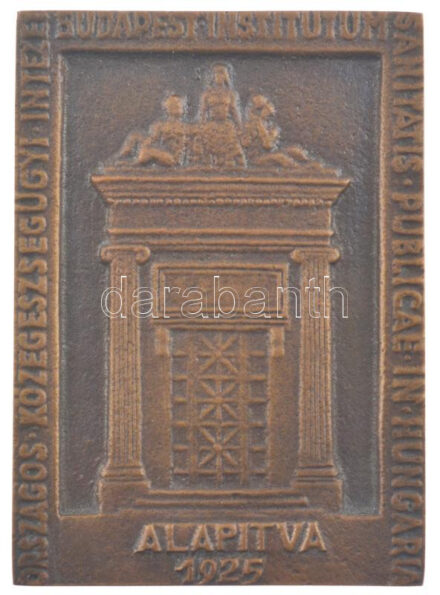 2017. 'Országos Közegészségügyi Intézet Budapest - Alapítva 1925' egyoldalas, öntött bronz plakett, hátoldalon gravírozva, dísztokban (64x47mm) T:1-