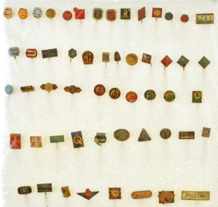 ~50 darabos külföldi műgyantás kitűző tétel, közte egy zománcozott T:vegyes