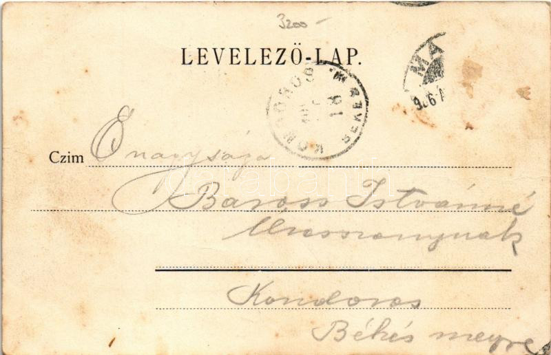 1906 Makó, látkép (fl) - Image 2