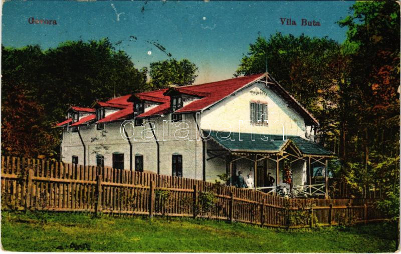 1924 Baile Govora, Vila Buta / villa, spa