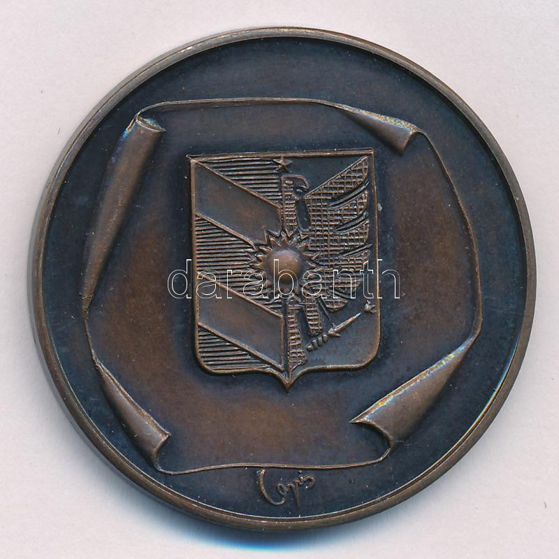 Fritz Mihály (1947-) / Lapis András (1942-) DN 'Szeged' kétoldalas bronz emlékérem (42,5mm) T:1 patina - Image 2