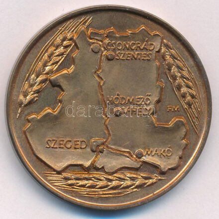 Fritz Mihály (1947-) DN 'Csongrád megyei Mezőgazdasági Szövetkezetek - Szeged' kétoldalas bronz emlékérem (42,5mm) T:1 patina