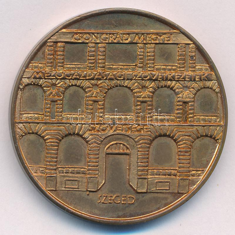 Fritz Mihály (1947-) DN 'Csongrád megyei Mezőgazdasági Szövetkezetek - Szeged' kétoldalas bronz emlékérem (42,5mm) T:1 patina - Image 2
