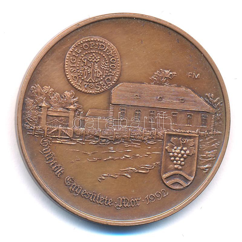 Fritz Mihály (1947-) 1992. 'Wekerle Sándor, Mór szülöttje emlékére / Gyűjtők Egyesülete - Mór' bronz emlékérem (42,5mm) T:1- Adamo MR1 - Image 2