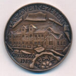 Rajki László (1939-) 1989. 'A Szövetkezetért - Orosháza 1989 - ÁFÉSZ' kétoldalas bronz emlékérem (42,5mm) T:1-