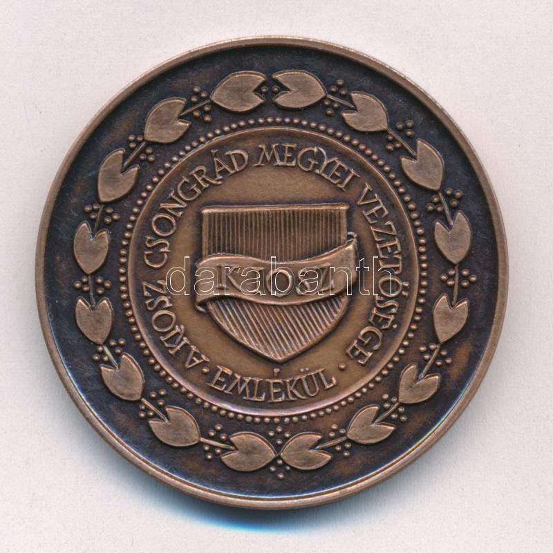 Józsa Gábor (1955-) DN 'KIOSZ - Emlékül a Kiosz Csongrád megyei vezetősége' kétoldalas bronz emlékérem (42mm) T:1-
